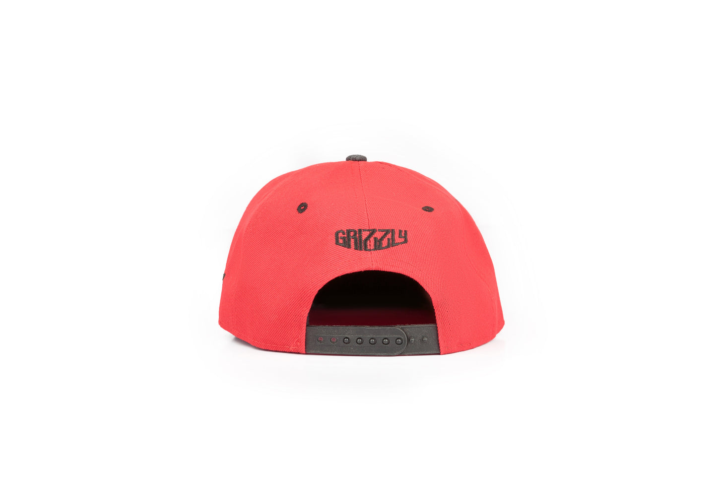 Grizzly In Red Cap