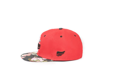 Grizzly In Red Cap